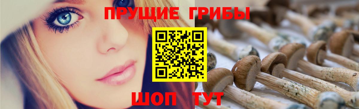 Псилоцибиновые грибы Psilocybine cubensis  Вход с VPN  Гусиноозёрск 